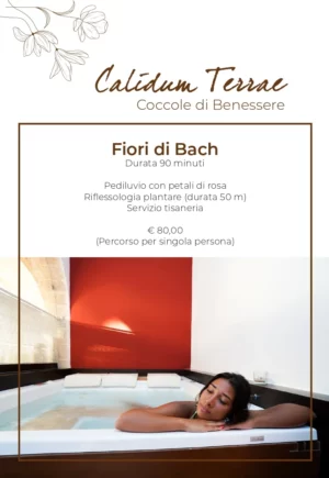 Fiori Di Bach Durata 90' Singola Persona
